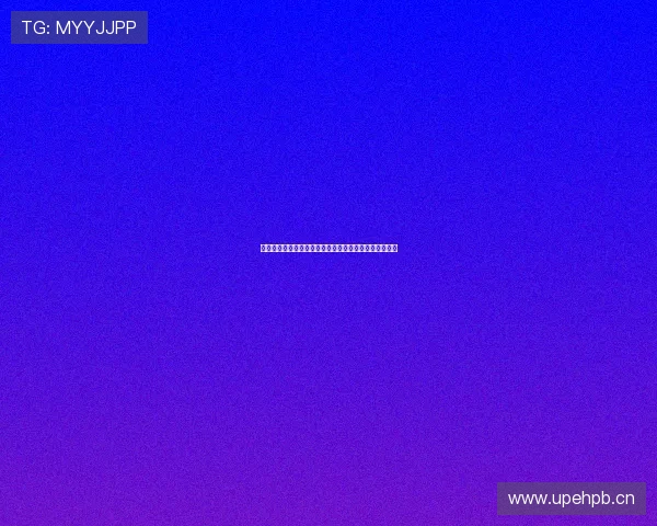 风速站长登录入口及相关功能介绍让网站管理更高效便捷